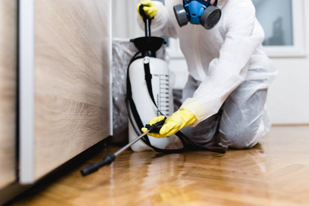 Best Pest Prevention Services  in Morse, LA