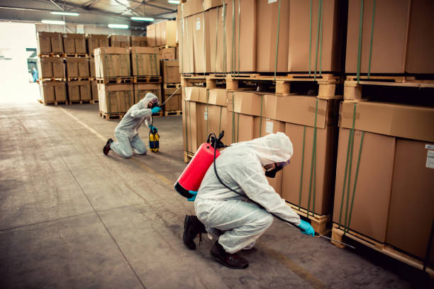 Best Termite Control Services  in Morse, LA