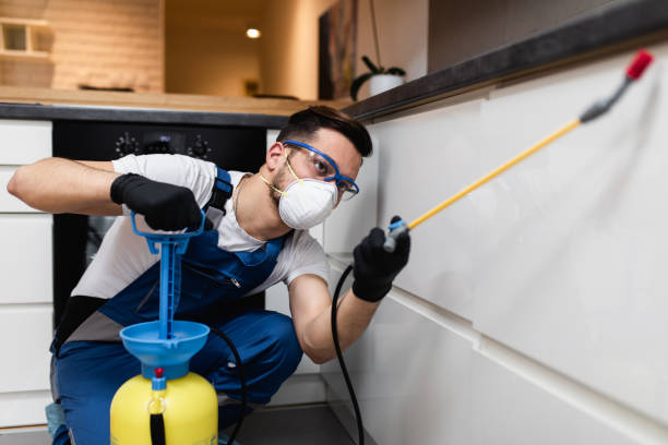  Morse, LA Pest Control Pros