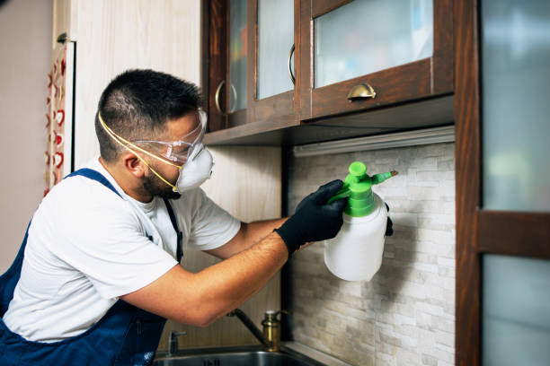 Best Exterminator Services  in Morse, LA