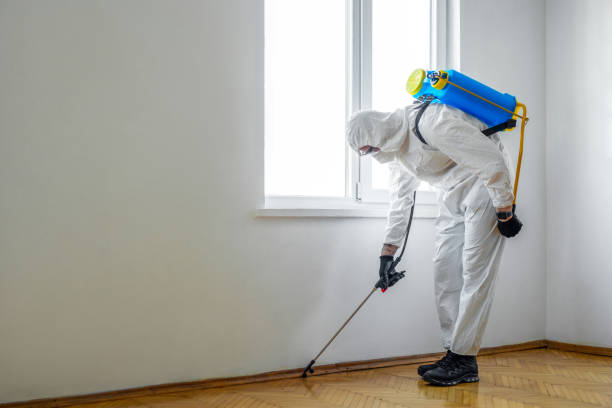 Best Affordable Pest Control Services  in Morse, LA