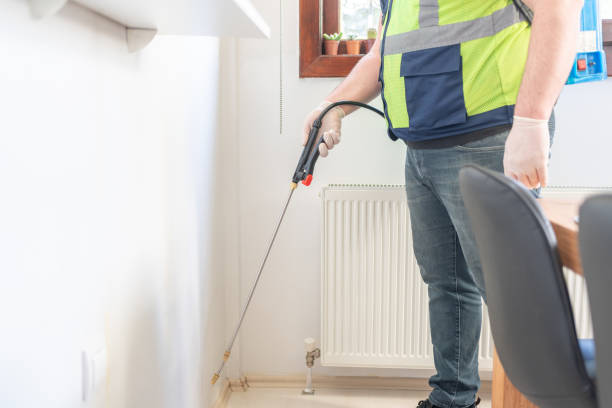 Best Local Pest Control Services  in Morse, LA