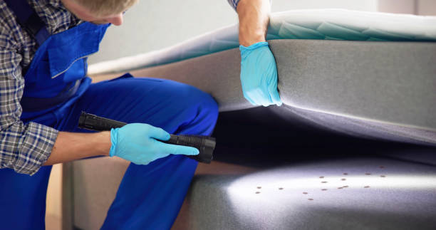 Best Pest Inspection Near Me  in Morse, LA