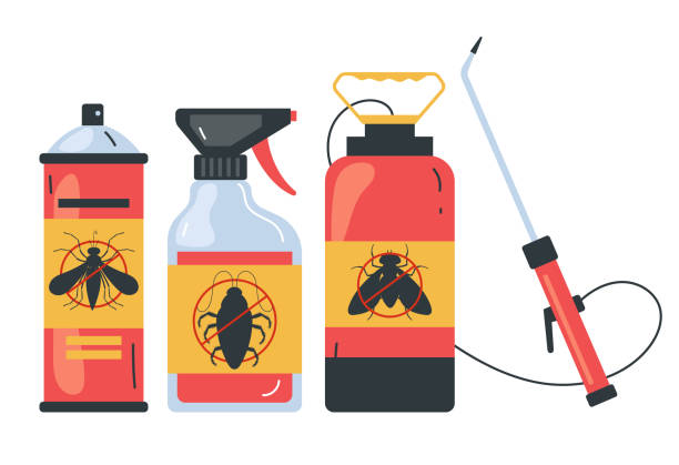 Best Affordable Pest Control Services  in Morse, LA