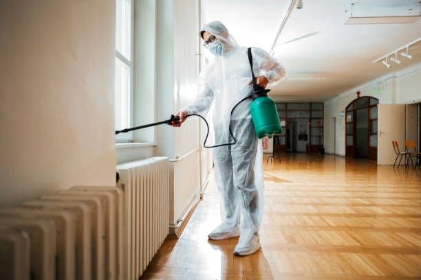 Best Best Pest Control Companies  in Morse, LA