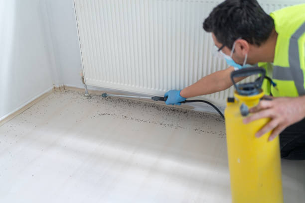 Trusted Morse, LA Pest Control Experts