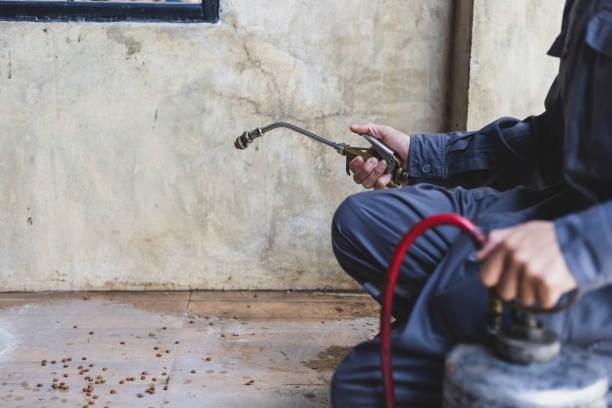 Best Pest Removal Services  in Morse, LA