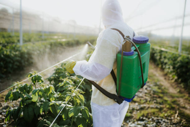 Pest Prevention Services in Morse, LA